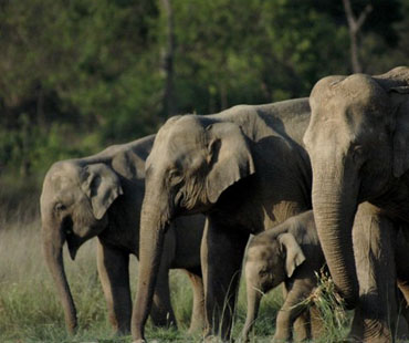 Uttarakhand Simply Heaven