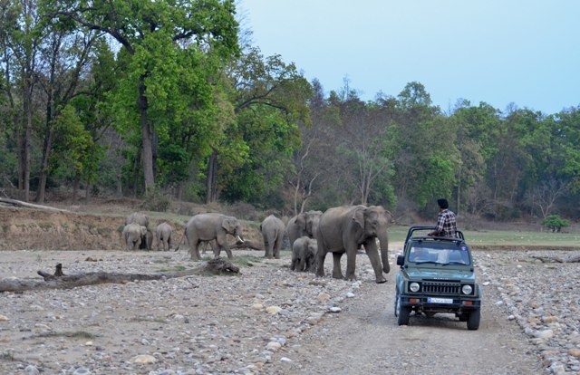 Rajaji National Park Tour Package