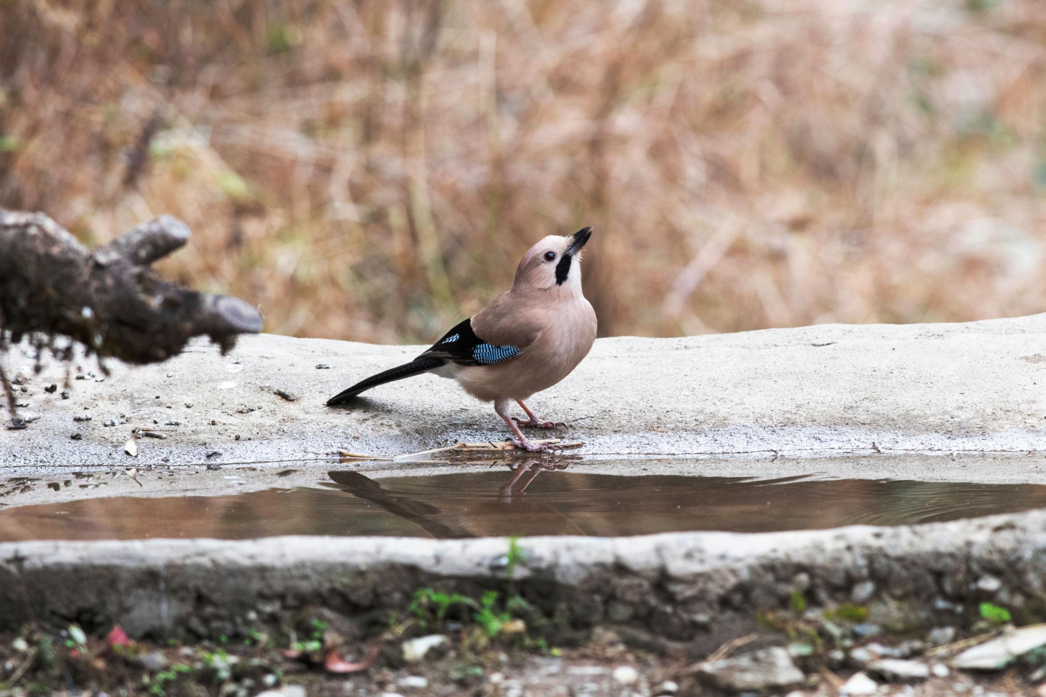 Off The Beat Lake Tour